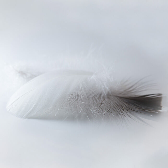 Image without a name